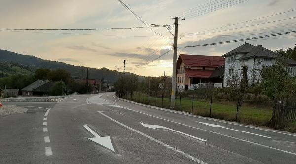 Loial Portofoliu portofoliu 526